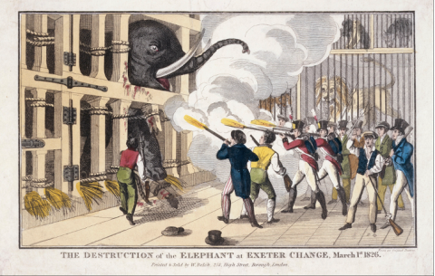 William Belch, ‘The Destruction of the Elephant destroyed at Exeter  “Change”’, 1826, Museum of London, 60.43/16.