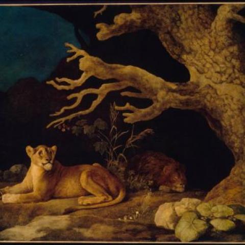 George Stubbs, ‘Lion and Lioness’, Museum of Fine Arts, M. Theresa B Hopkins Fund, 49.6, 1771.
