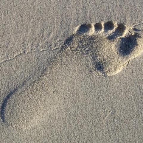 Traveltopia, ‘Footprint in the Sand’, FreeImagesLive.