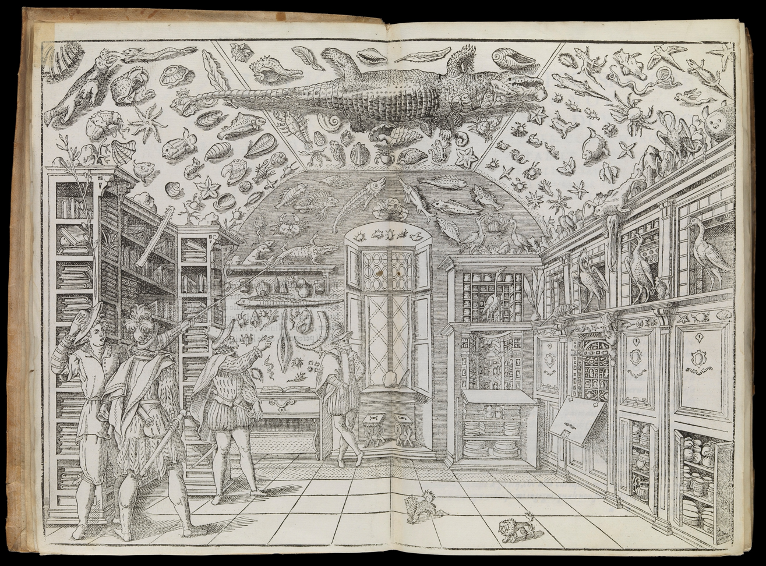 Ferrante Imperato, 'Dell’Istoria Naturale', Cabinet, 1599.
